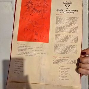 Vintage snoopy ambassador